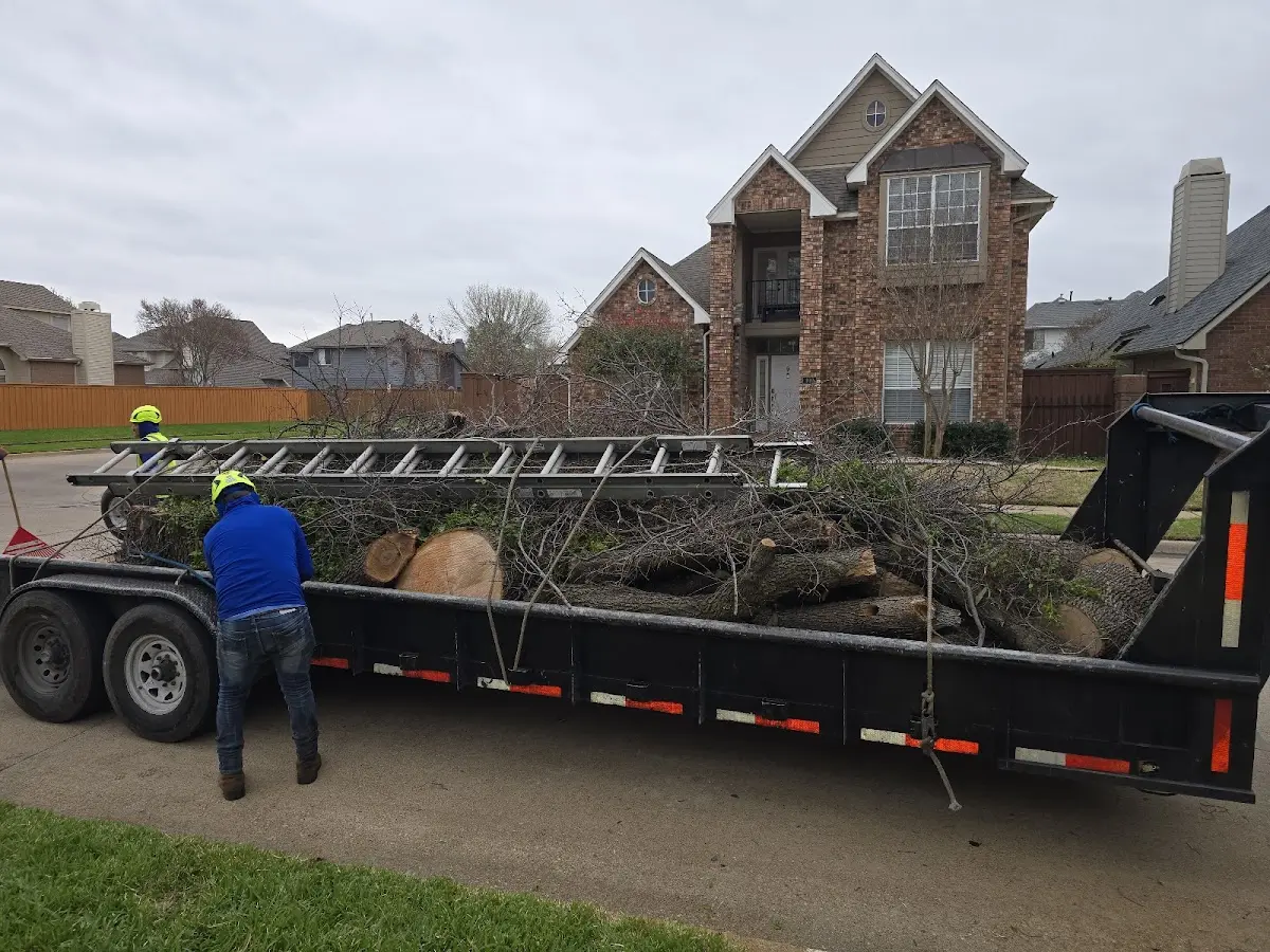 Expert Tree Fertilization with proper safety equipment in Northwood